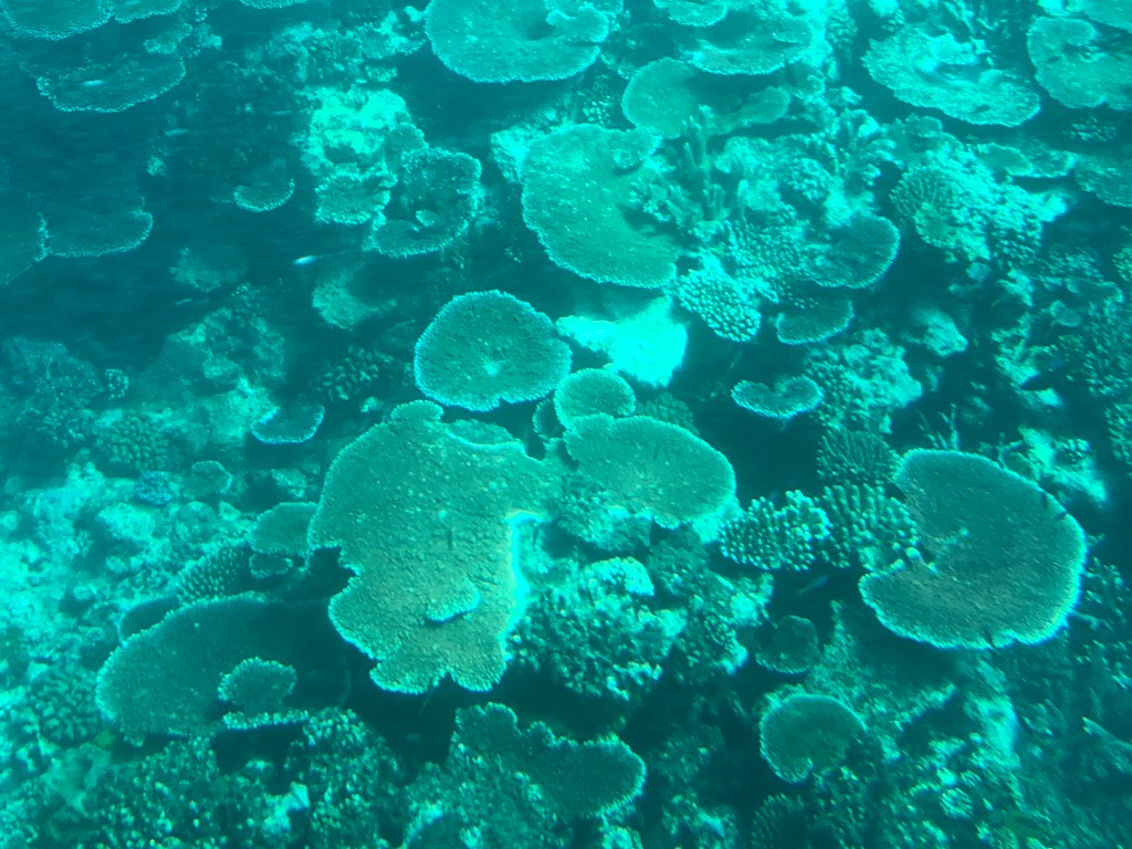 CAIRNS, THE GREAT BARRIER REEF & TOWNSVILLE,&nbsp;AUSTRALIA