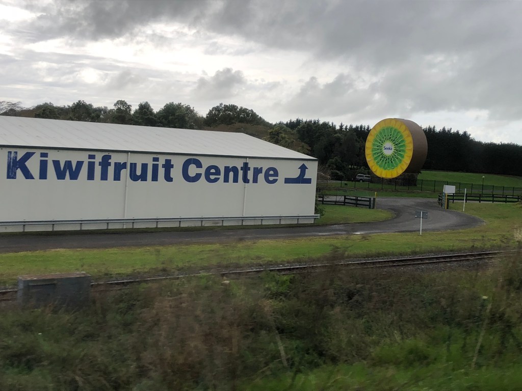 KIWIS, SHEEP &&nbsp;COWS